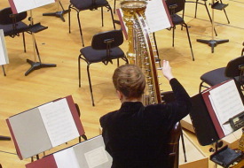Foto zeigt eine Künstlerin an der Harfe in einer Orchesterpause. Im beruflichen Alltag gibt es viele unauffällige Fähigkeiten, die in einem Bewerbungsprozess Erwähnung verdienen.